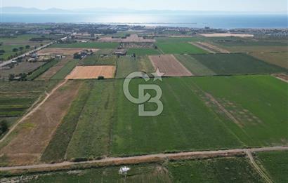 AYVALIK ALTINOVA SATILIK TARLA 33.870 m² 140 METRE YOL CEPHELİ