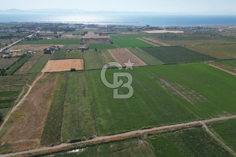 AYVALIK ALTINOVA SATILIK TARLA 33.870 m² 140 METRE YOL CEPHELİ