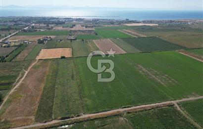 AYVALIK ALTINOVA SATILIK TARLA 33.870 m² 140 METRE YOL CEPHELİ