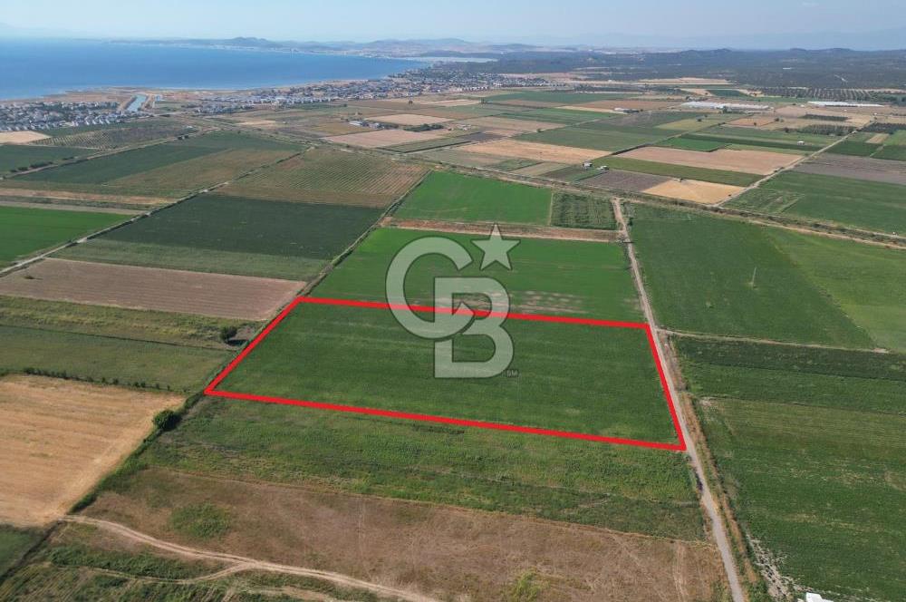 AYVALIK ALTINOVA SATILIK TARLA 33.870 m² 140 METRE YOL CEPHELİ