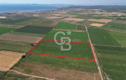 AYVALIK ALTINOVA SATILIK TARLA 33.870 m² 140 METRE YOL CEPHELİ