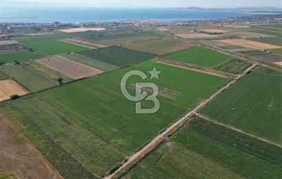 AYVALIK ALTINOVA SATILIK TARLA 33.870 m² 140 METRE YOL CEPHELİ