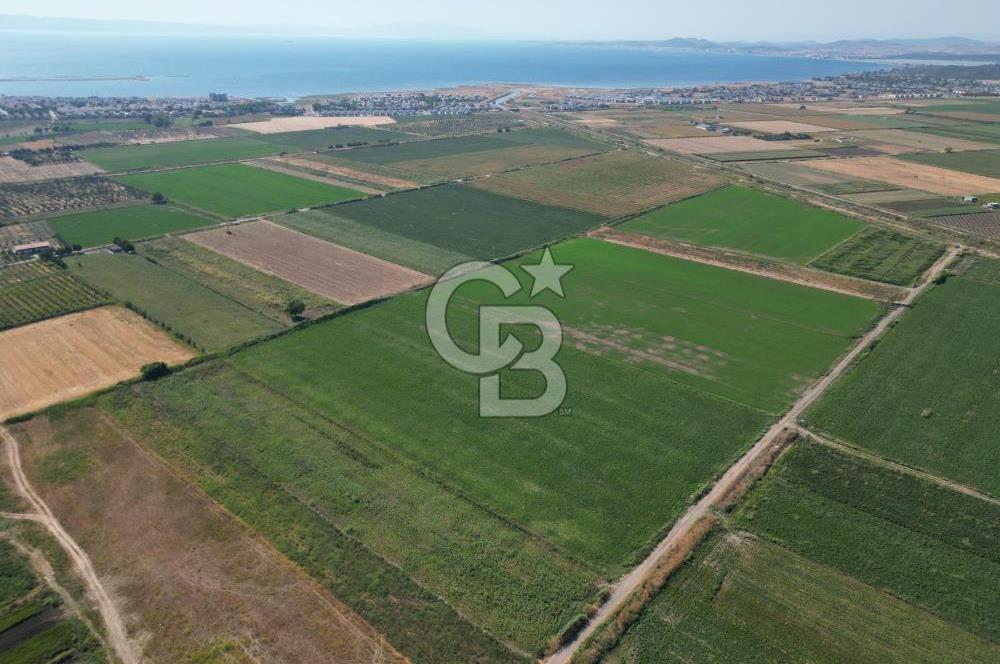 AYVALIK ALTINOVA SATILIK TARLA 33.870 m² 140 METRE YOL CEPHELİ