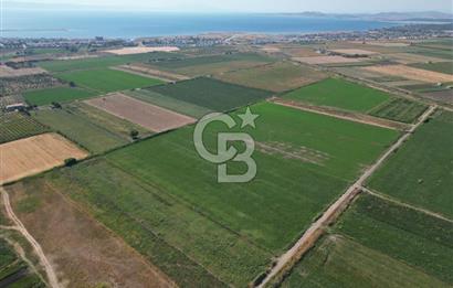AYVALIK ALTINOVA SATILIK TARLA 33.870 m² 140 METRE YOL CEPHELİ