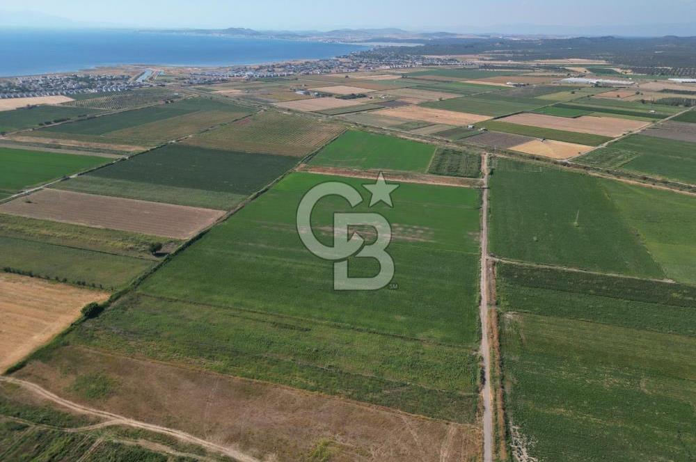 AYVALIK ALTINOVA SATILIK TARLA 33.870 m² 140 METRE YOL CEPHELİ