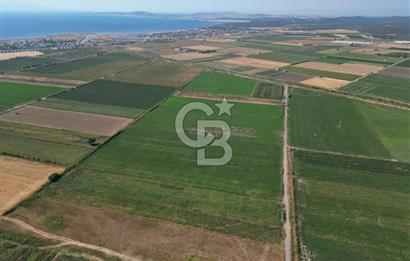AYVALIK ALTINOVA SATILIK TARLA 33.870 m² 140 METRE YOL CEPHELİ