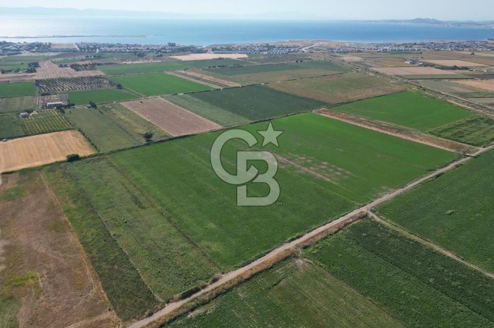 AYVALIK ALTINOVA SATILIK TARLA 33.870 m² 140 METRE YOL CEPHELİ