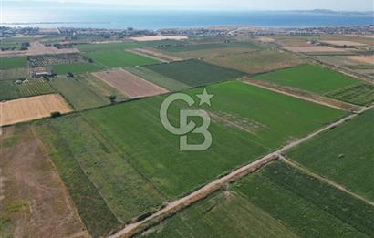 AYVALIK ALTINOVA SATILIK TARLA 33.870 m² 140 METRE YOL CEPHELİ