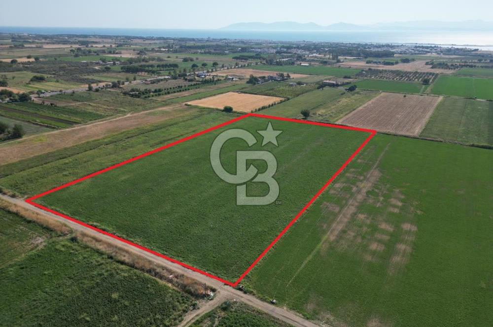 AYVALIK ALTINOVA SATILIK TARLA 33.870 m² 140 METRE YOL CEPHELİ