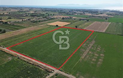 AYVALIK ALTINOVA SATILIK TARLA 33.870 m² 140 METRE YOL CEPHELİ
