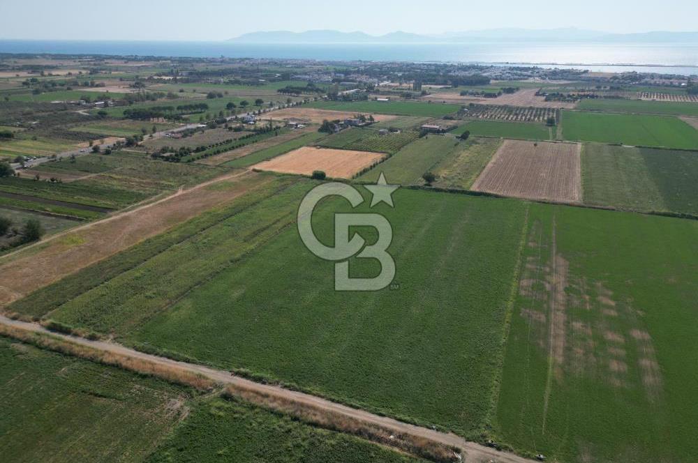 AYVALIK ALTINOVA SATILIK TARLA 33.870 m² 140 METRE YOL CEPHELİ