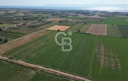 AYVALIK ALTINOVA SATILIK TARLA 33.870 m² 140 METRE YOL CEPHELİ
