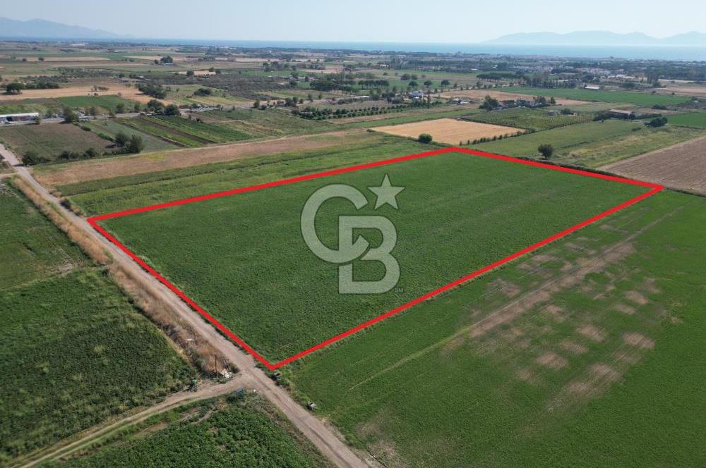 AYVALIK ALTINOVA SATILIK TARLA 33.870 m² 140 METRE YOL CEPHELİ
