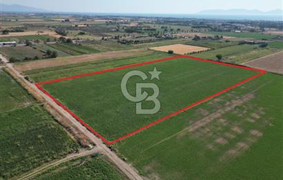 AYVALIK ALTINOVA SATILIK TARLA 33.870 m² 140 METRE YOL CEPHELİ