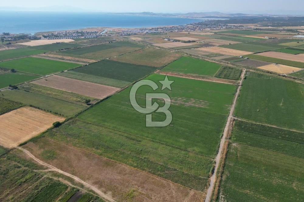 AYVALIK ALTINOVA SATILIK TARLA 33.870 m² 140 METRE YOL CEPHELİ