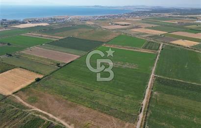 AYVALIK ALTINOVA SATILIK TARLA 33.870 m² 140 METRE YOL CEPHELİ