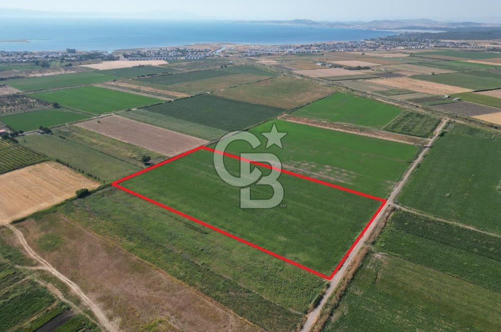 AYVALIK ALTINOVA SATILIK TARLA 33.870 m² 140 METRE YOL CEPHELİ