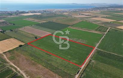 AYVALIK ALTINOVA SATILIK TARLA 33.870 m² 140 METRE YOL CEPHELİ