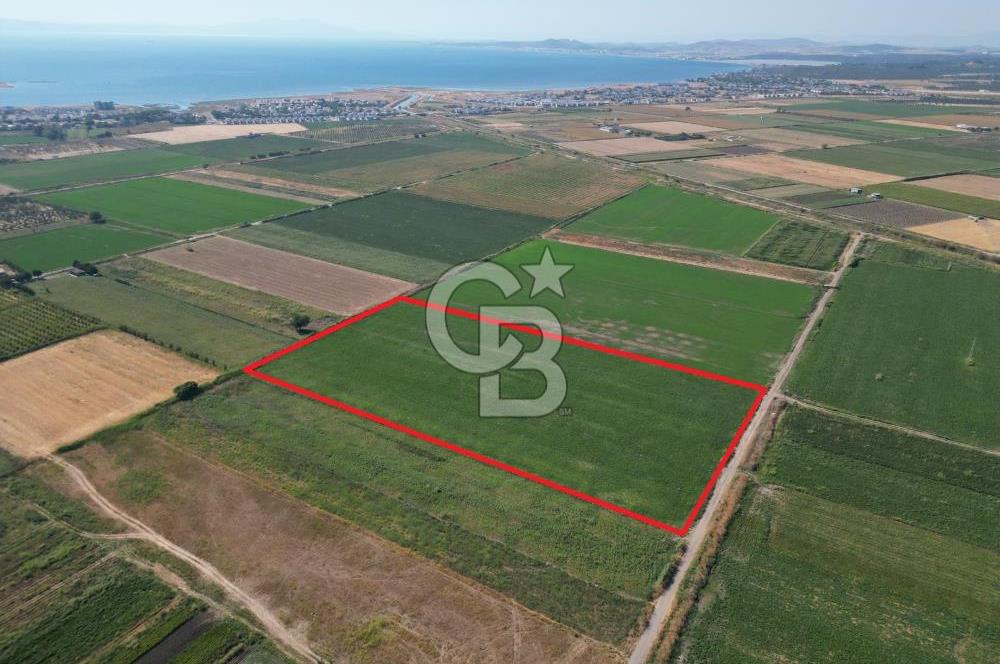 AYVALIK ALTINOVA SATILIK TARLA 33.870 m² 140 METRE YOL CEPHELİ