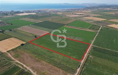 AYVALIK ALTINOVA SATILIK TARLA 33.870 m² 140 METRE YOL CEPHELİ