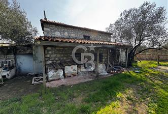 Ayvalık ta doğayla baş başa 4643 m² zeytinlik ve yapı kayıtlı ev