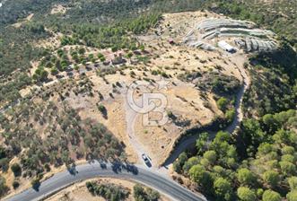 BALIKESİR AYVALIK TIFILLAR MAHALLESİ 20.212 m² EKO TURİZM İMARLI