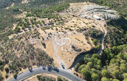 BALIKESİR AYVALIK TIFILLAR MAHALLESİ 20.212 m² EKO TURİZM İMARLI