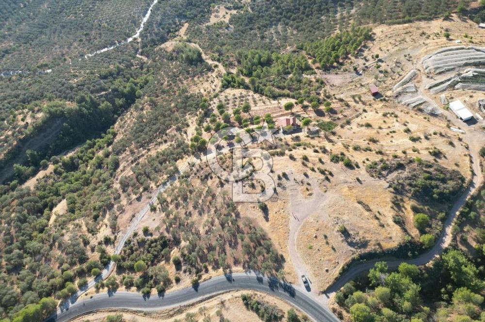 BALIKESİR AYVALIK TIFILLAR MAHALLESİ 20.212 m² EKO TURİZM İMARLI