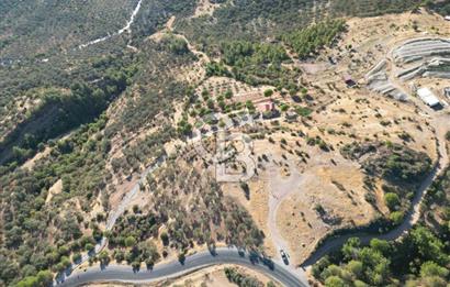 BALIKESİR AYVALIK TIFILLAR MAHALLESİ 20.212 m² EKO TURİZM İMARLI