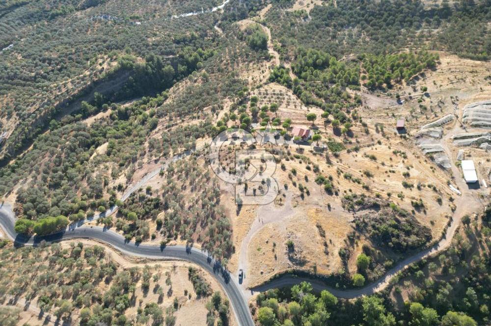 BALIKESİR AYVALIK TIFILLAR MAHALLESİ 20.212 m² EKO TURİZM İMARLI