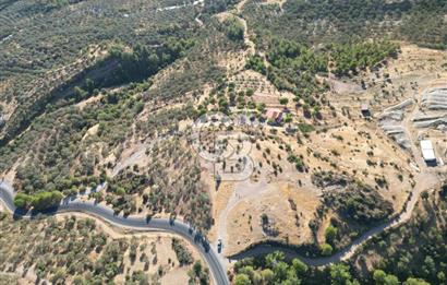 BALIKESİR AYVALIK TIFILLAR MAHALLESİ 20.212 m² EKO TURİZM İMARLI
