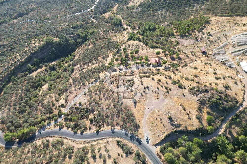 BALIKESİR AYVALIK TIFILLAR MAHALLESİ 20.212 m² EKO TURİZM İMARLI
