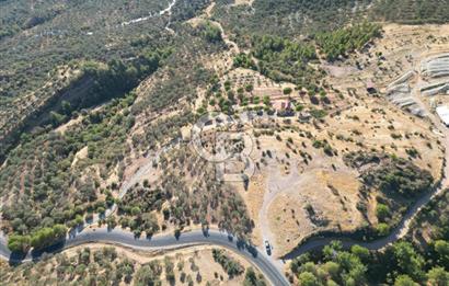 BALIKESİR AYVALIK TIFILLAR MAHALLESİ 20.212 m² EKO TURİZM İMARLI