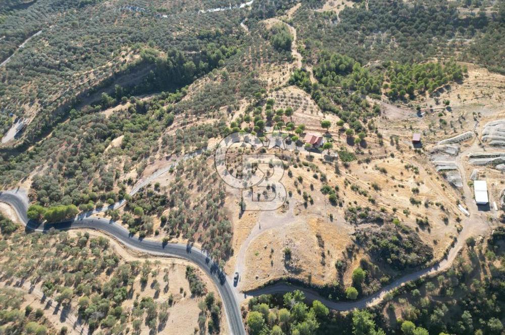 BALIKESİR AYVALIK TIFILLAR MAHALLESİ 20.212 m² EKO TURİZM İMARLI