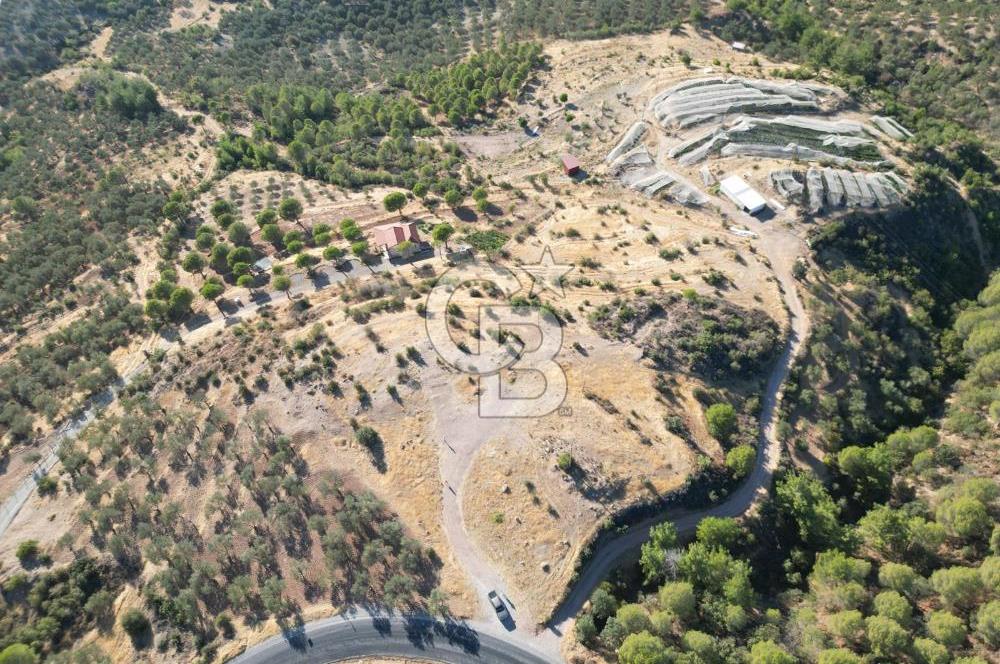 BALIKESİR AYVALIK TIFILLAR MAHALLESİ 20.212 m² EKO TURİZM İMARLI