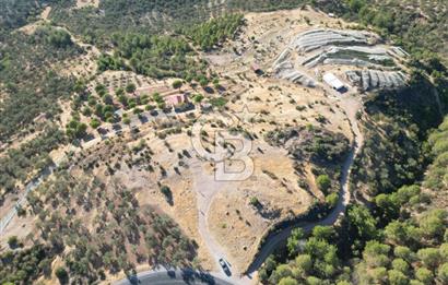 BALIKESİR AYVALIK TIFILLAR MAHALLESİ 20.212 m² EKO TURİZM İMARLI