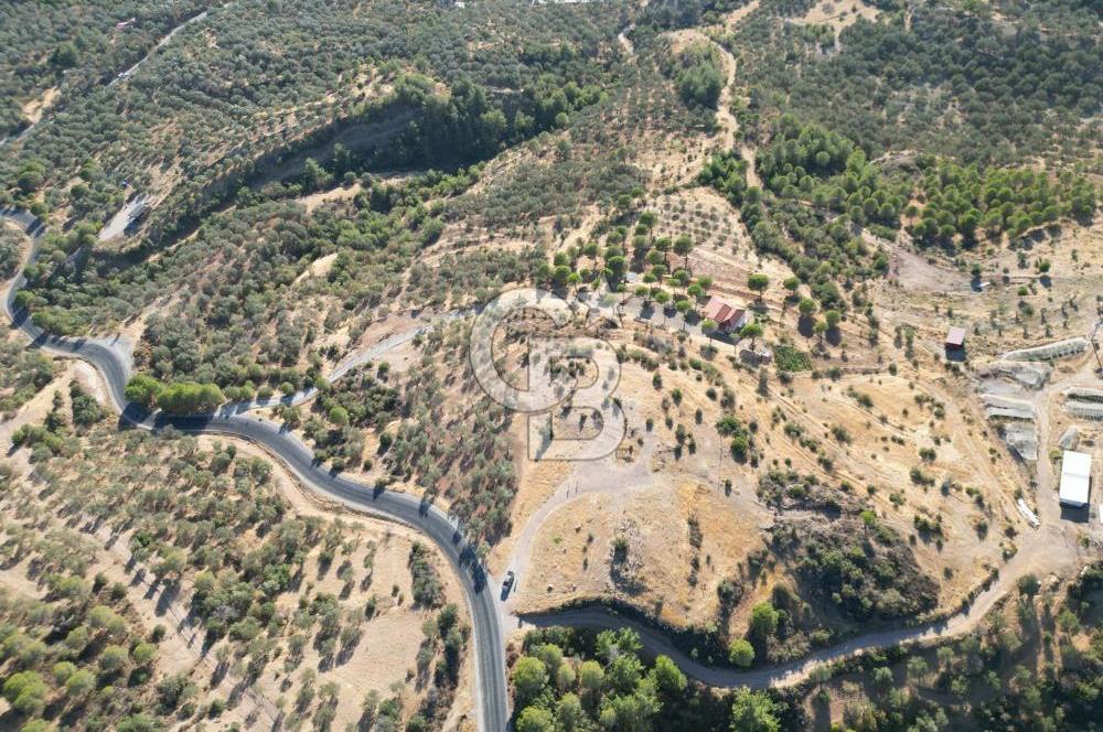 BALIKESİR AYVALIK TIFILLAR MAHALLESİ 20.212 m² EKO TURİZM İMARLI