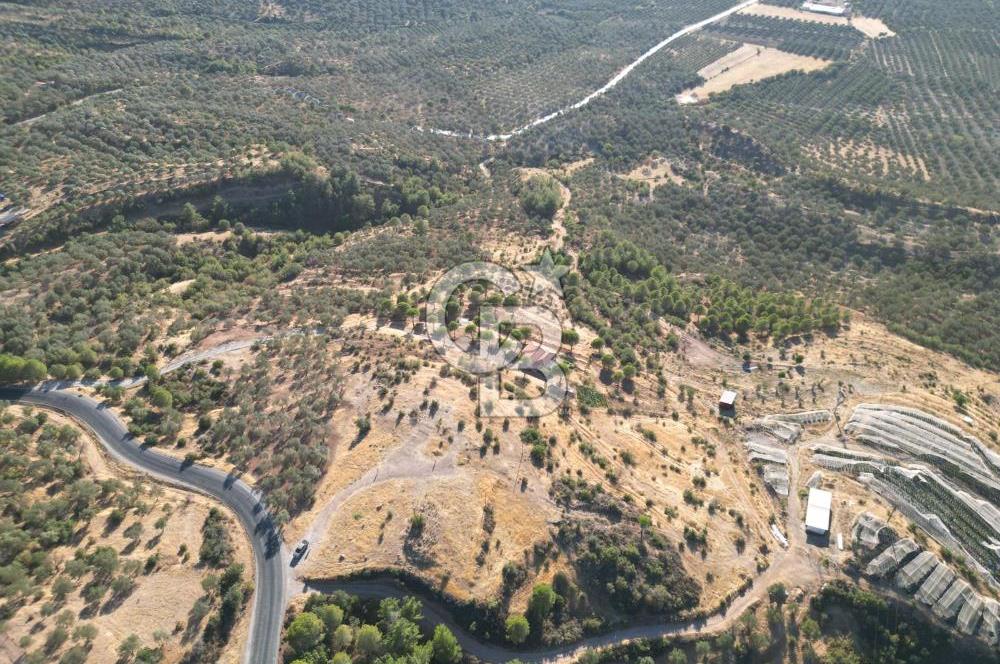 BALIKESİR AYVALIK TIFILLAR MAHALLESİ 20.212 m² EKO TURİZM İMARLI