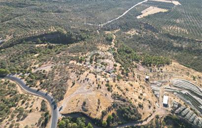 BALIKESİR AYVALIK TIFILLAR MAHALLESİ 20.212 m² EKO TURİZM İMARLI