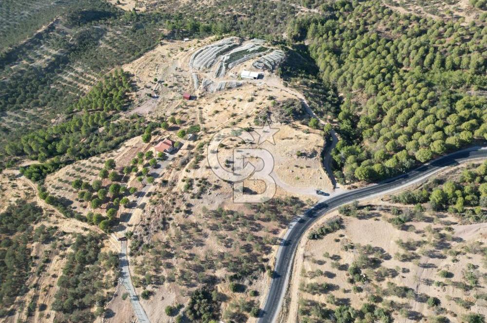 BALIKESİR AYVALIK TIFILLAR MAHALLESİ 20.212 m² EKO TURİZM İMARLI