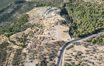 BALIKESİR AYVALIK TIFILLAR MAHALLESİ 20.212 m² EKO TURİZM İMARLI