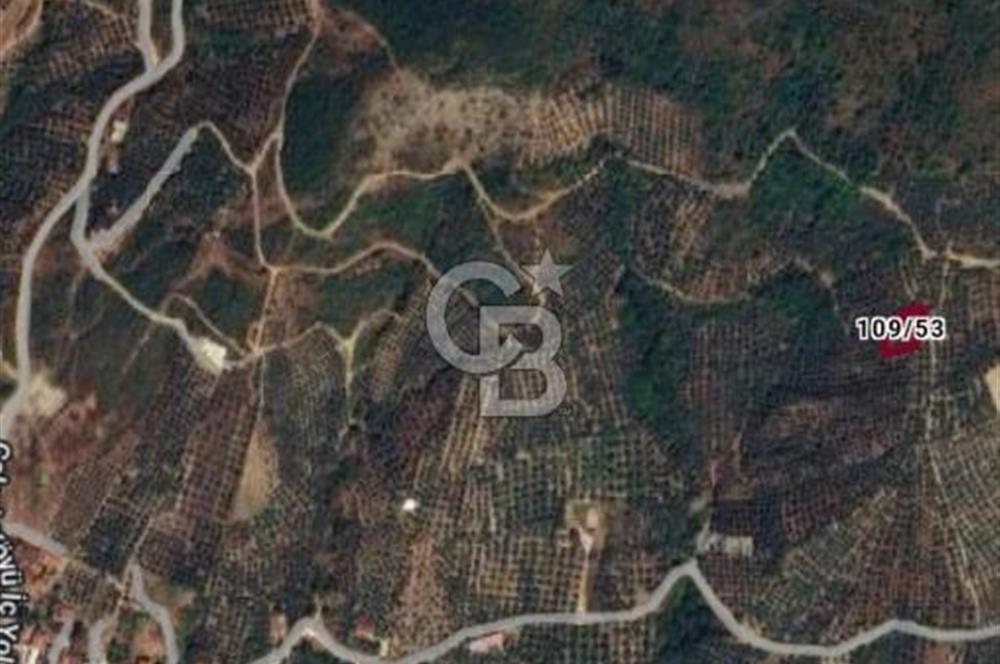 ORHANGAZİ ÇAKIRLI'DA 688 M2 YATIRIMLIK TARLA