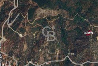 ORHANGAZİ ÇAKIRLI'DA 688 M2 YATIRIMLIK TARLA