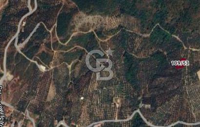ORHANGAZİ ÇAKIRLI'DA 688 M2 YATIRIMLIK TARLA