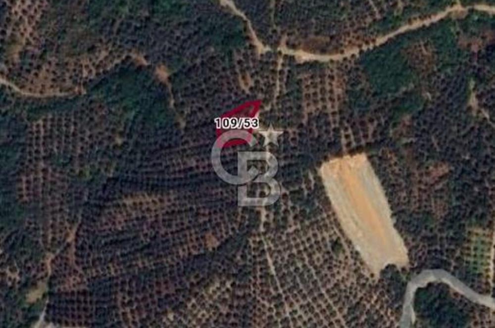 ORHANGAZİ ÇAKIRLI'DA 688 M2 YATIRIMLIK TARLA