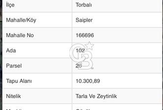 TORBALI SAİPLERDE SATILIK 572 M2 TARLA VE ZEYTİNLİK 