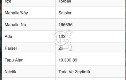 TORBALI SAİPLERDE SATILIK 572 M2 TARLA VE ZEYTİNLİK 