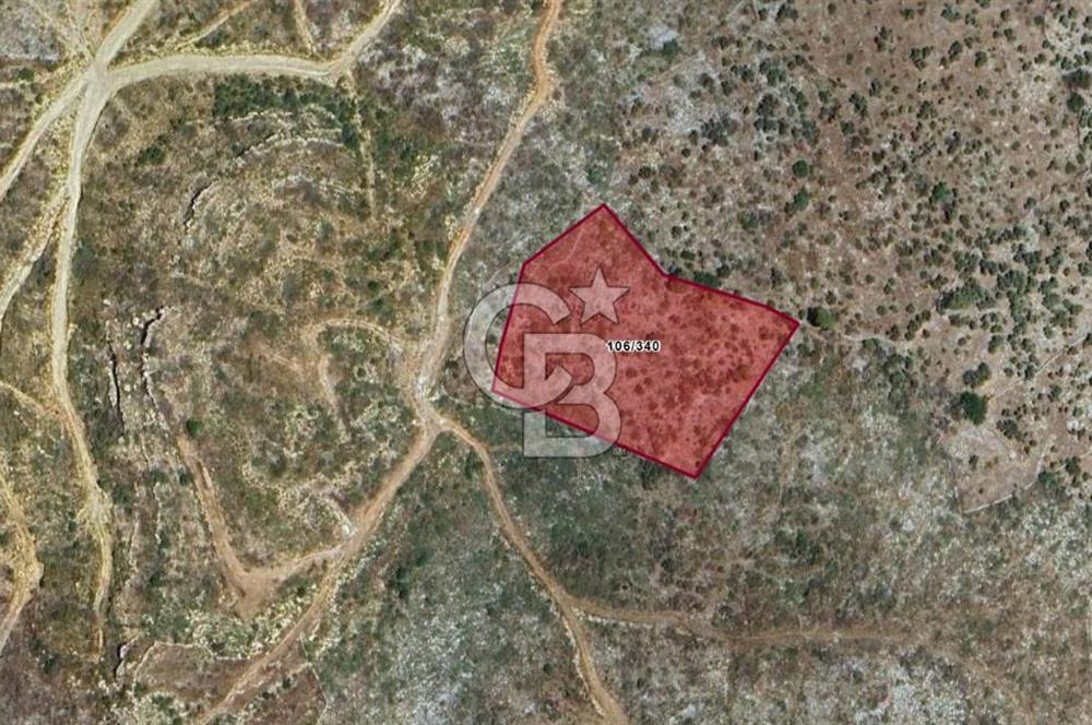 ÇÖKERTME KOYUNDA 9.275,35 m² TARLA TURİZM FIRSATI