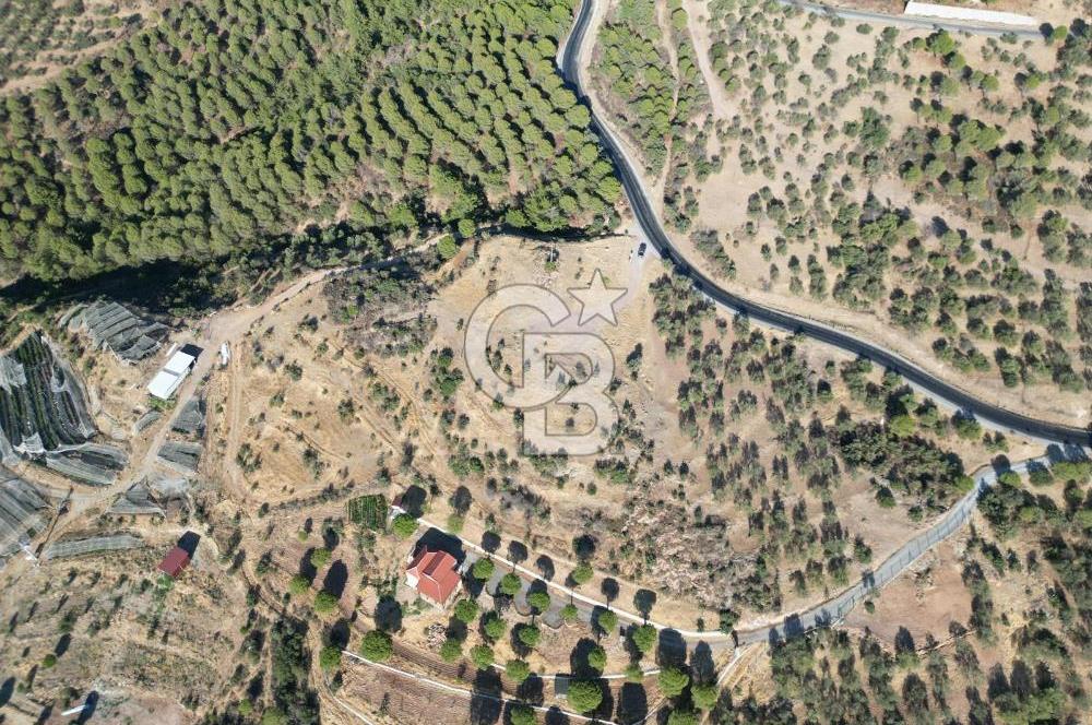 BALIKESİR AYVALIK TIFILLAR MAHALLESİ 20.212 m² EKO TURİZM İMARLI
