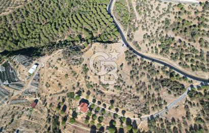 BALIKESİR AYVALIK TIFILLAR MAHALLESİ 20.212 m² EKO TURİZM İMARLI